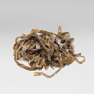 espaguetti-de-mar