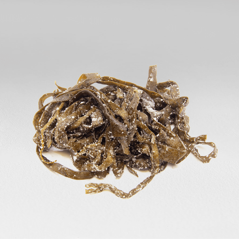 espaguetti-de-mar