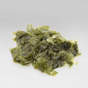 Lechuga de Mar en Sal