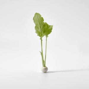 Micro Nabo Blanco