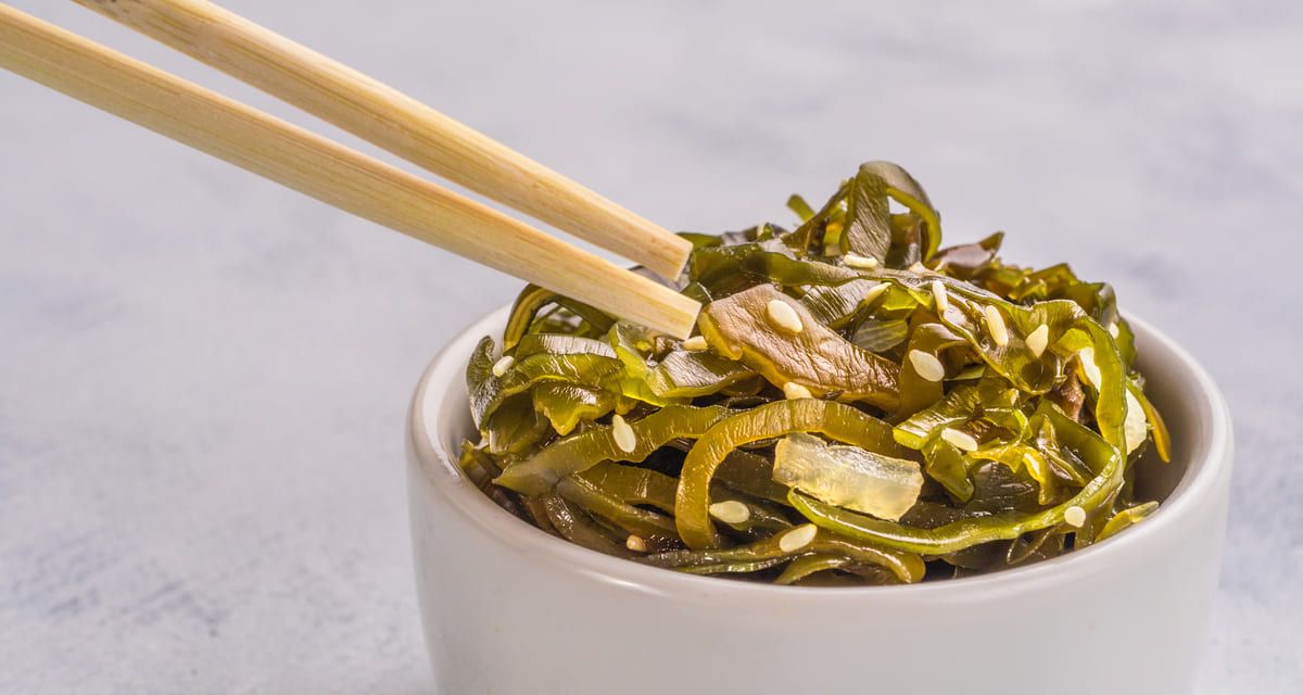 alga kombu propiedades y beneficios