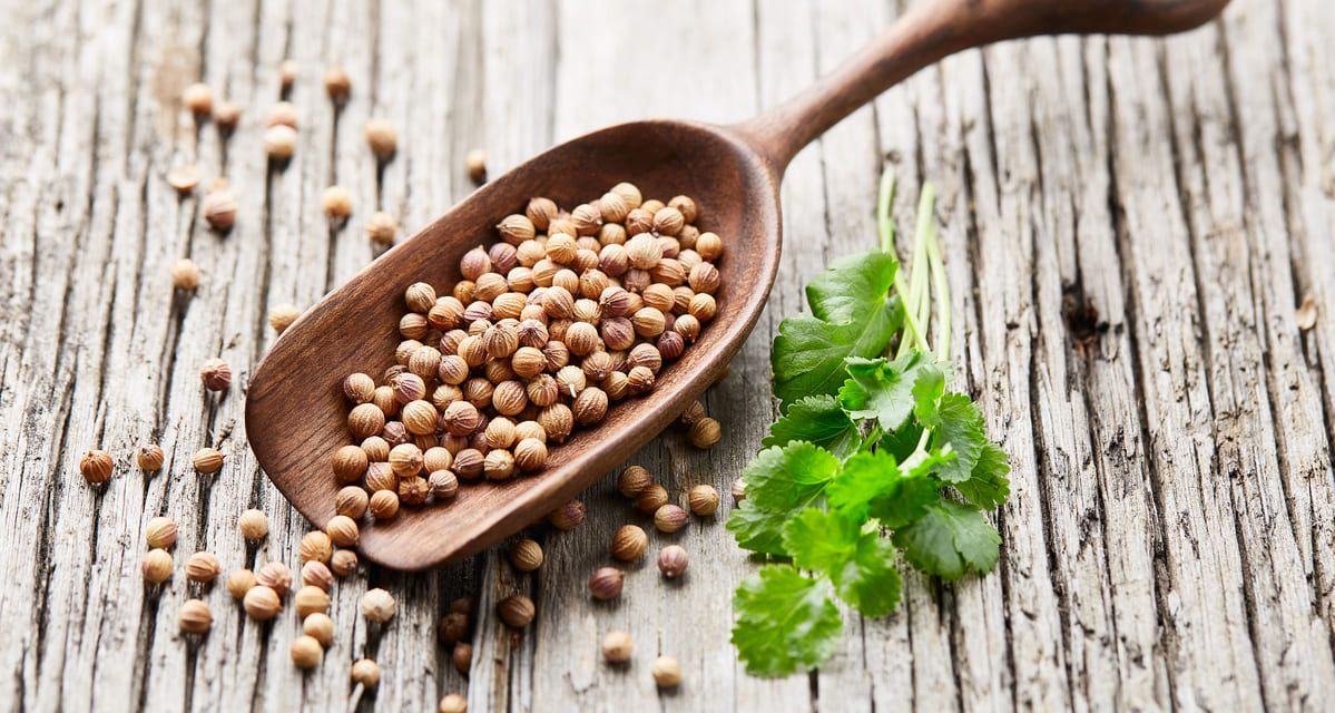 propiedades del cilantro