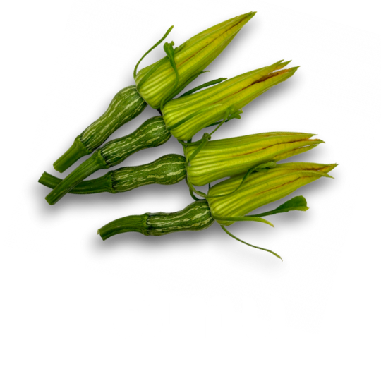 Bínu - Yema de calabaza gourmet de Singular Veggies y Germinarte