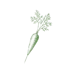 Microverduras